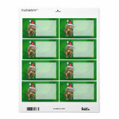 Étiquette Triceratops Christmas Green (Feuille entière)