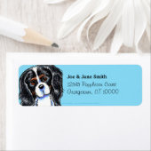 Étiquette Tricolor Cavalier CKCS Carribean (En situation)