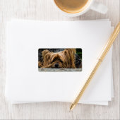 Étiquette Triste petite Yorkie (En situation)