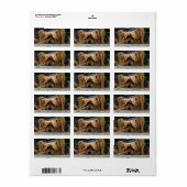 Étiquette Triste petite Yorkie (Feuille entière)