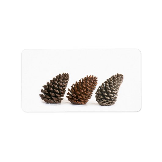 Étiquette Trois pinecones (Devant)