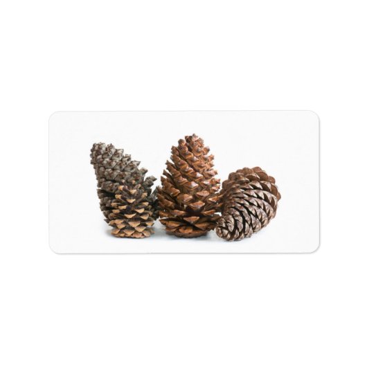 Étiquette Trois pinecones (Devant)