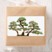 Étiquette trois pins bonsaïs (En situation)