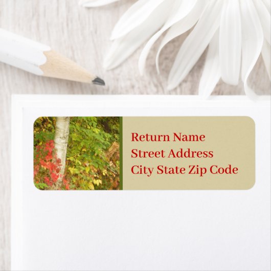 Étiquette Tronc d'arbre à bouleau (En situation)