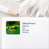 Étiquette Tropical forêt tropicale verte aux yeux rouges Fro (En situation)