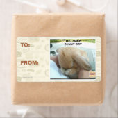 Étiquette Tu fais pleurer le lapin (En situation)