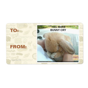 Étiquette Tu fais pleurer le lapin