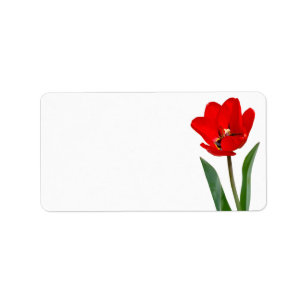 Étiquette Tulip