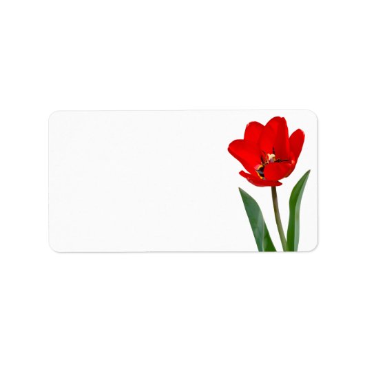 Étiquette Tulip (Devant)