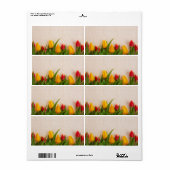 Étiquette Tulipes de printemps (Feuille entière)