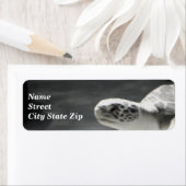 Étiquette Turtle Fun (En situation)