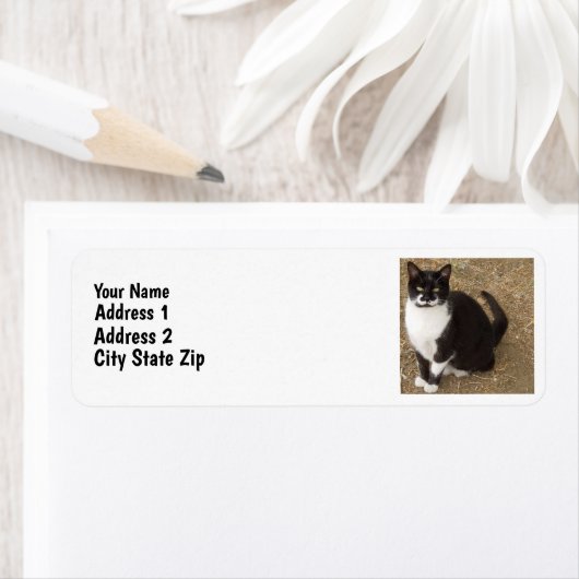 Étiquette Tuxedo (En situation)