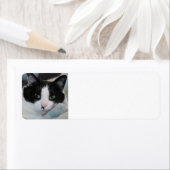 Étiquette Tuxedo (En situation)