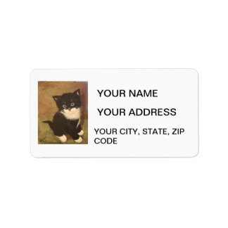 Étiquette Tuxedo Kitten