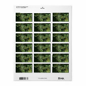 Étiquette Twisted Balance (Feuille entière)