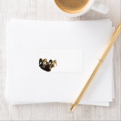 Étiquette Un groupe de béliers (En situation)