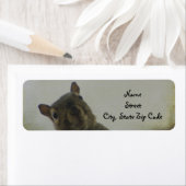 Étiquette Un Petit Peu Écurieux (En situation)