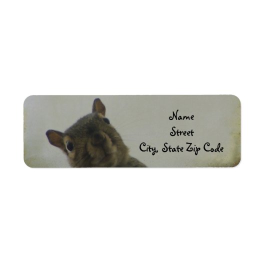 Étiquette Un Petit Peu Écurieux (Devant)