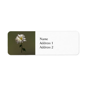 Étiquette Une marguerite blanche