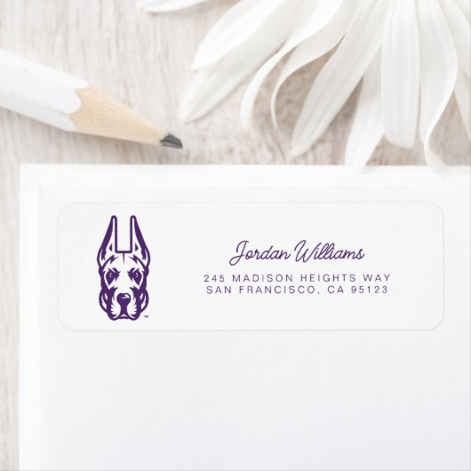 Étiquette Université d'Albany Chef de la mascotte Great Dane (En situation)