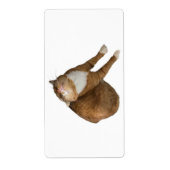 Étiquette Upside-Down Sunshine (Devant)