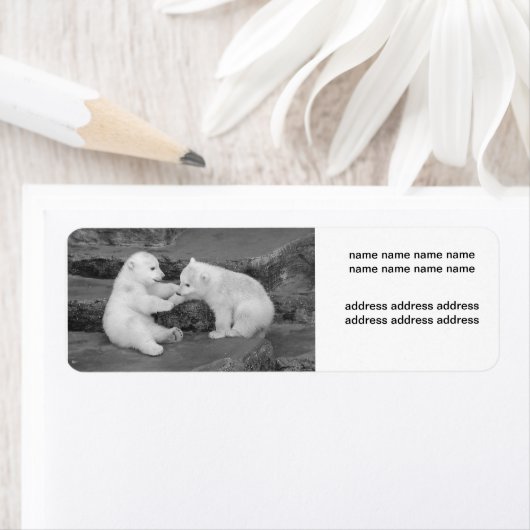 Étiquette Ursus maritime (En situation)