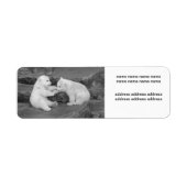 Étiquette Ursus maritime (Devant)