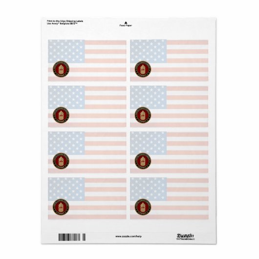 Étiquette US Marines: Master Gunnery Sergeant (USMC MGySgt) (Feuille entière)