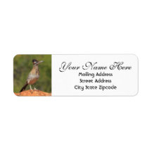 Utah Roadrunner Adresse de retour