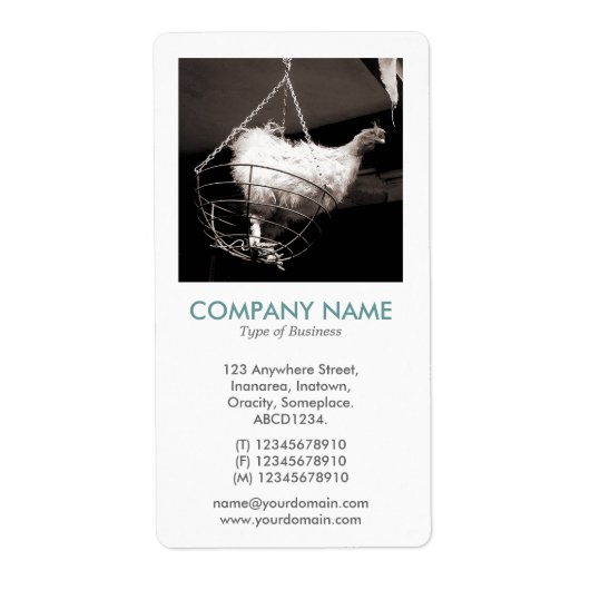 Étiquette V Photo Carré - Poulet dans un panier (Devant)