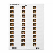 Étiquette Vacances "Grace Sheltie (Feuille entière)