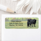 Étiquette Vache d'Angus noir et veau mou en pâturage d'été (En situation)