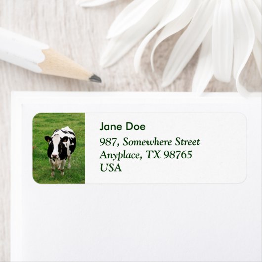 Étiquette Vache Holstein (En situation)