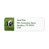 Étiquette Vache Holstein (Devant)