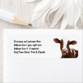 Étiquette Vache laitière Brown et blanche (En situation)