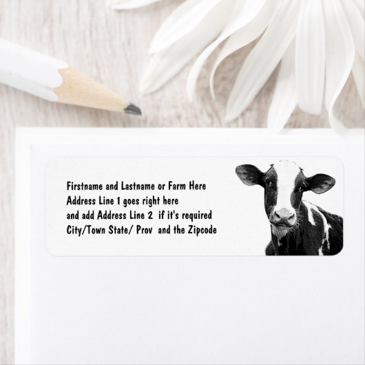 Étiquette Vache laitière - Veau laitier noir et blanc (En situation)