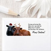 Étiquette Vaches de Noël à Santa Hat et Antlers (En situation)