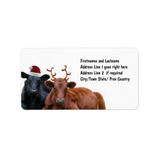 Étiquette Vaches de Noël à Santa Hat et Antlers