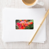 Étiquette Vallarta Flaming Beauty 1583 Adresse (En situation)