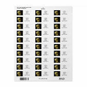 Étiquette Van Gogh Fumer du squelette (Feuille entière)