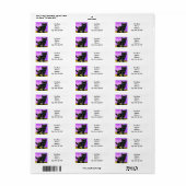 Étiquette Van Gogh Style Cat (Feuille entière)