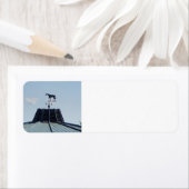 Étiquette Vane météo Cheval Lexington Kentucky (En situation)