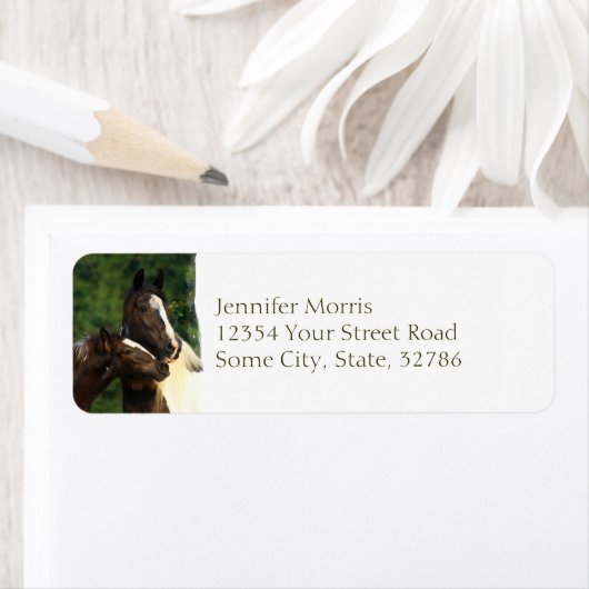 Étiquette Vanner Tsigane (En situation)