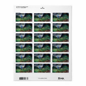 Étiquette Vanquished, 1930 par Emily Carr (Feuille entière)