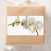 Étiquette Vaporisateur floral blanc Dendrobium Orchidée (En situation)