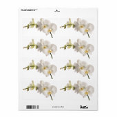 Étiquette Vaporisateur floral blanc Dendrobium Orchidée (Feuille entière)