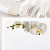 Étiquette Vaporisateur floral blanc Dendrobium Orchidée (En situation)