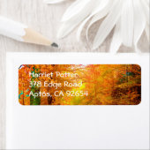 Étiquette Vermont Autumn Nature Paysage (En situation)