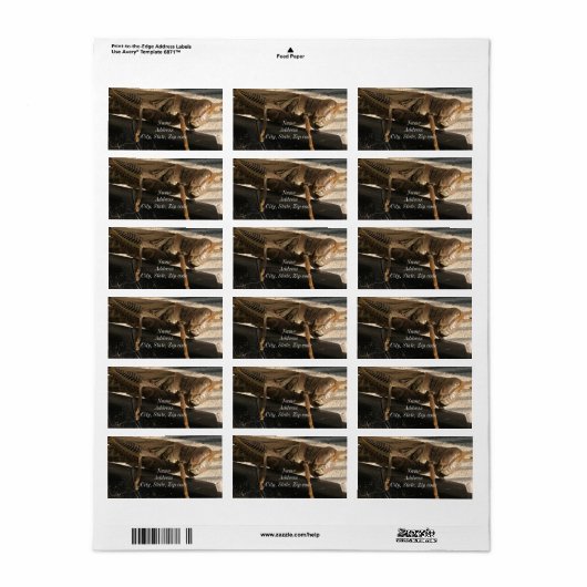 Étiquette Vert vif (Feuille entière)