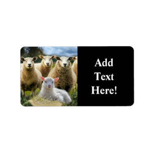 Étiquette Vestige de mouton Herbe de mouton Agneau de bébé